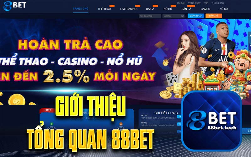 Giới thiệu tổng quan 88Bet